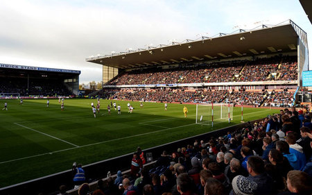 中国金花第 中国金花第